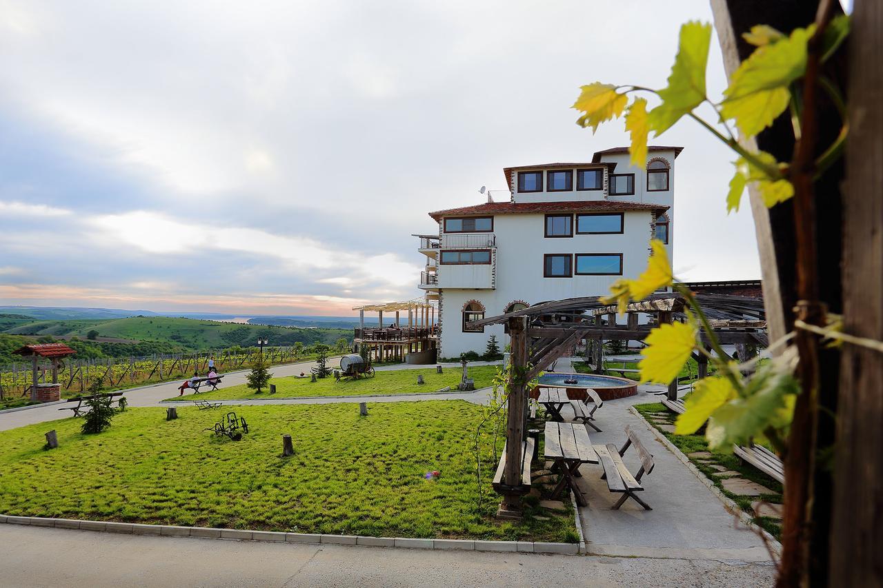 Seven Generations Winery Hotel Mecska Kültér fotó
